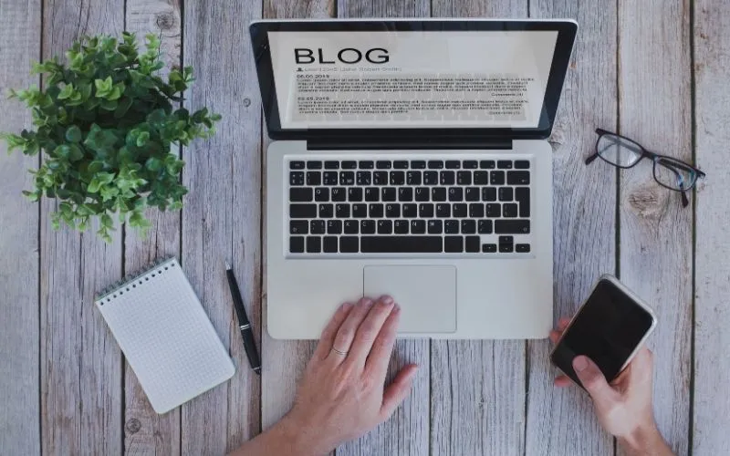 Sakarya SEO Yönetimi